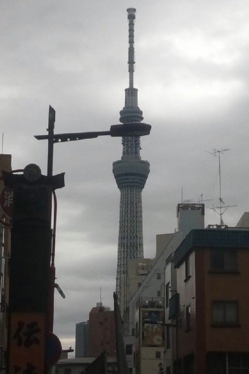 e0087657_149366.jpg