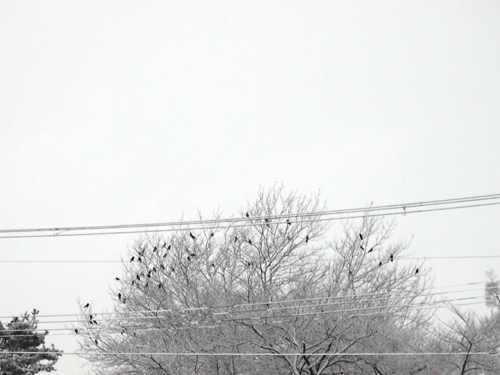 e0076761_08349.jpg