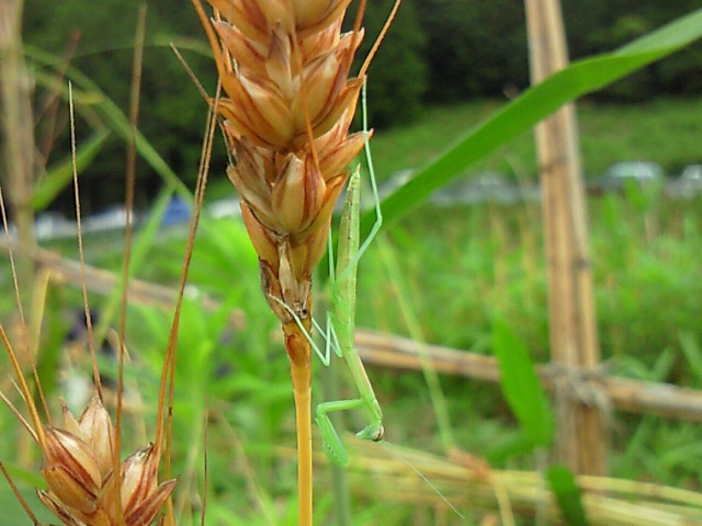 b0139862_20132612.jpg