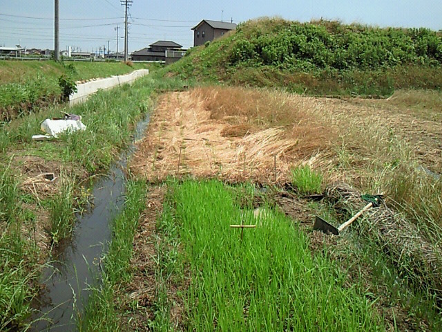 b0139862_20133013.jpg