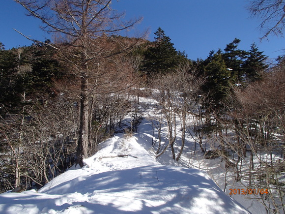 e0303570_801747.jpg