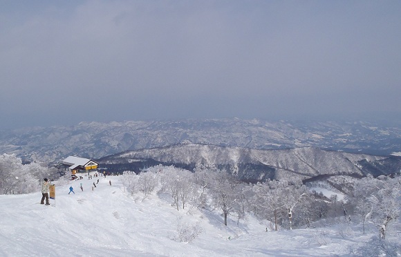f0230777_2013790.jpg