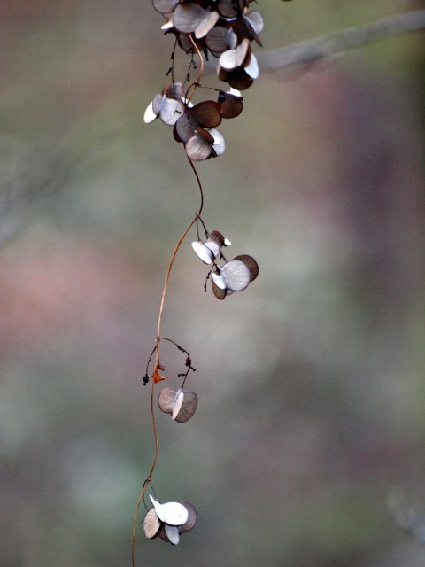 c0254479_23471385.jpg