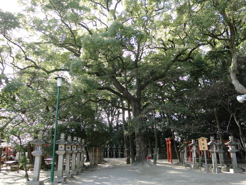 a0251786_11354839.jpg