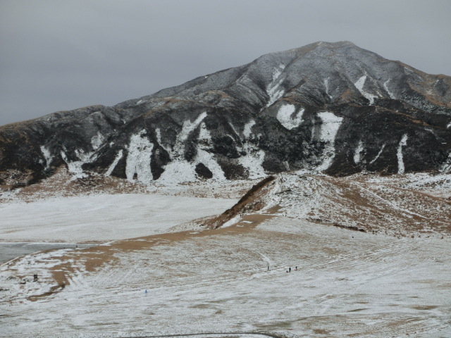 d0269886_20282528.jpg