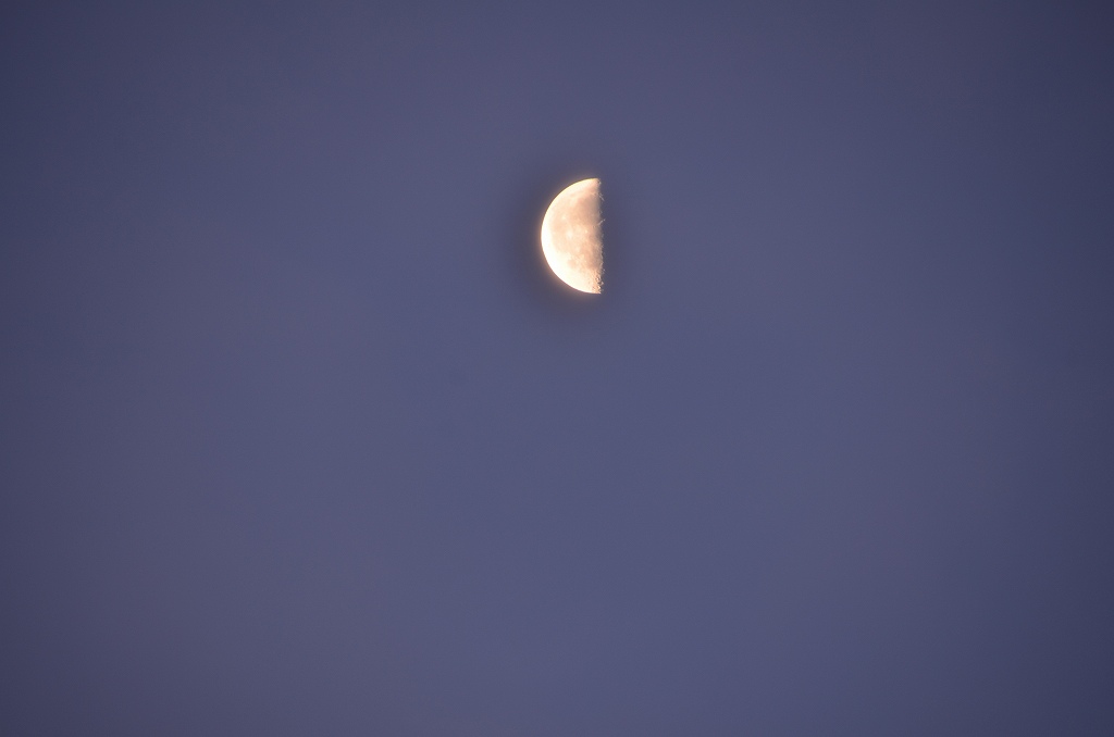 e0130986_19375980.jpg