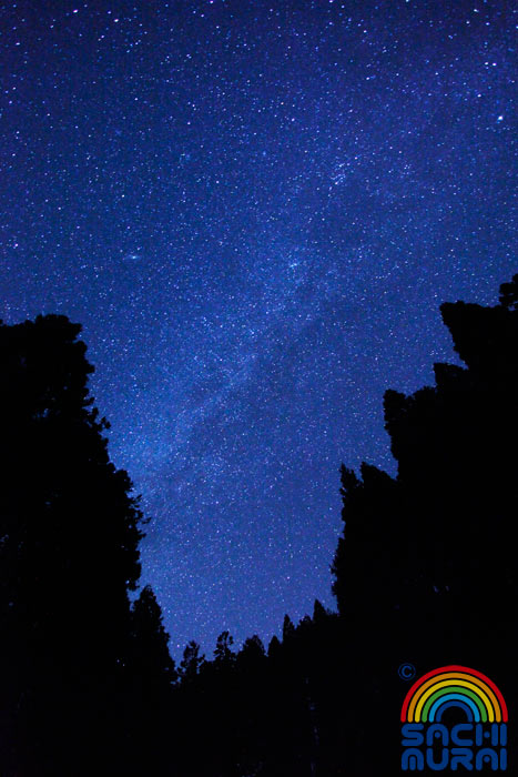 c0073387_205190.jpg