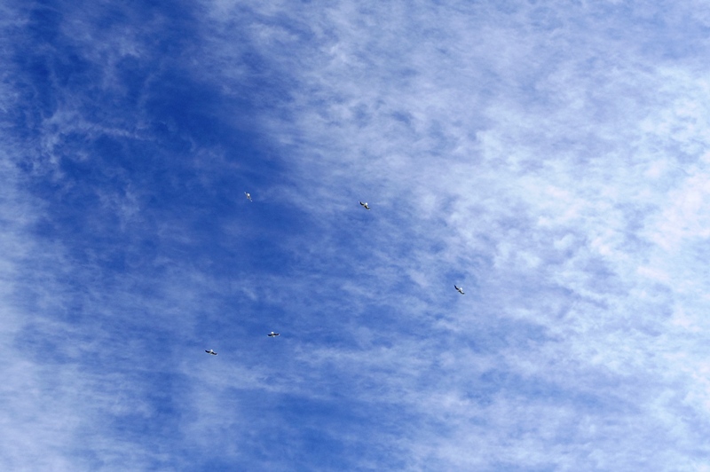 a0127090_15105939.jpg