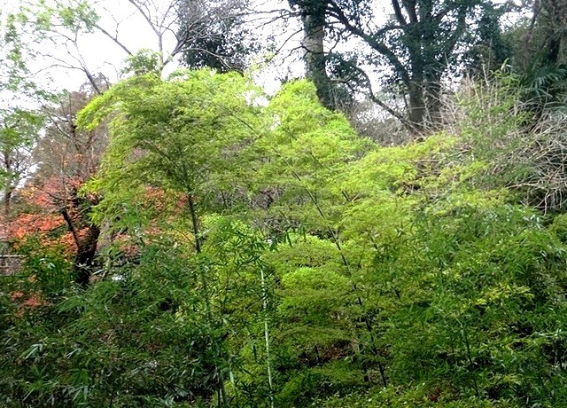 e0143690_734139.jpg