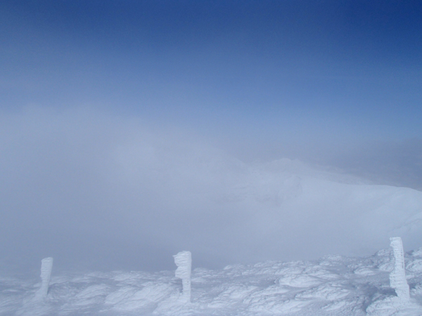 a0043193_175575.jpg