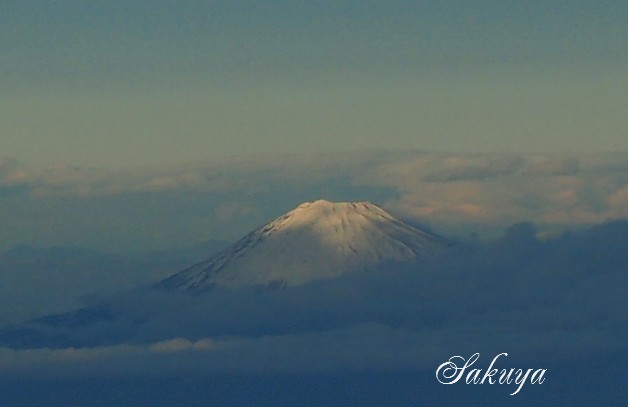 e0122194_1541457.jpg