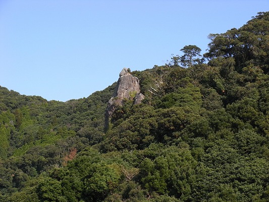 f0187402_2025225.jpg