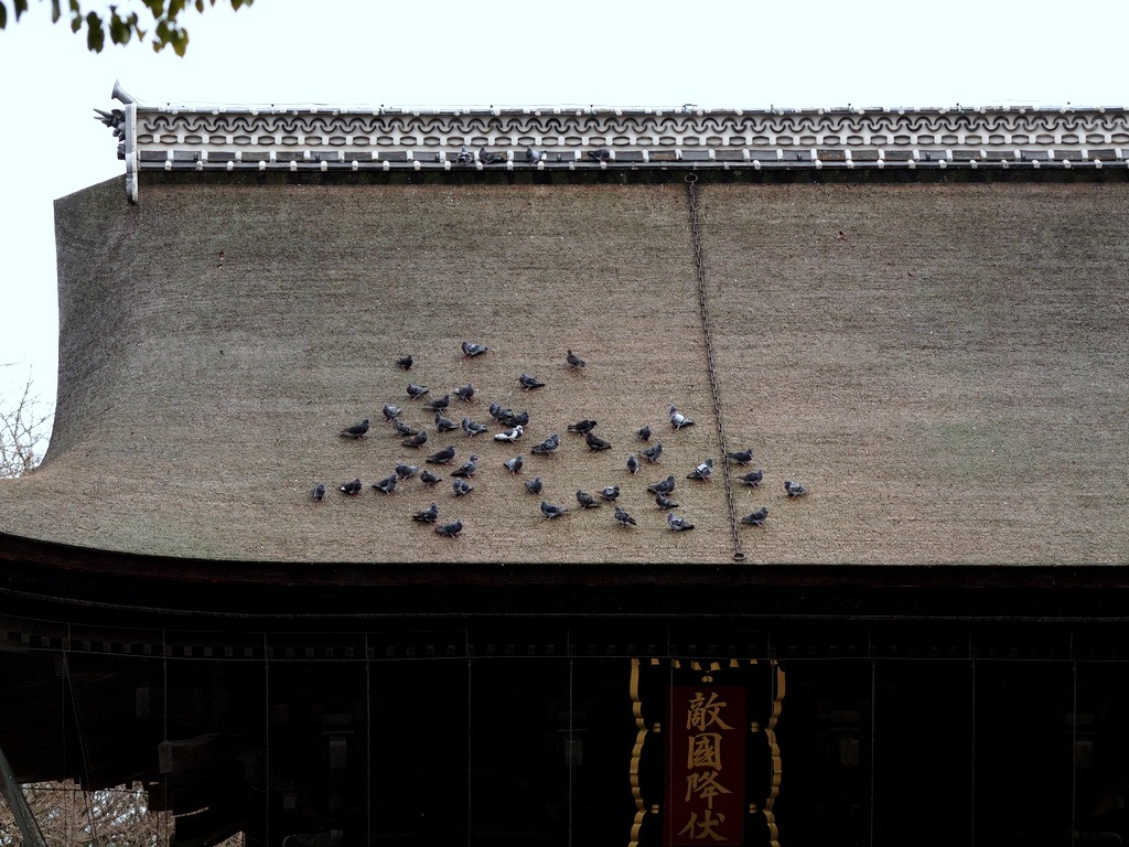 f0175003_1517284.jpg