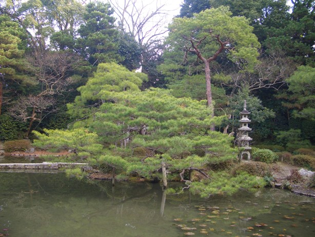 e0033713_11352183.jpg
