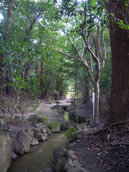 e0033713_1135933.jpg