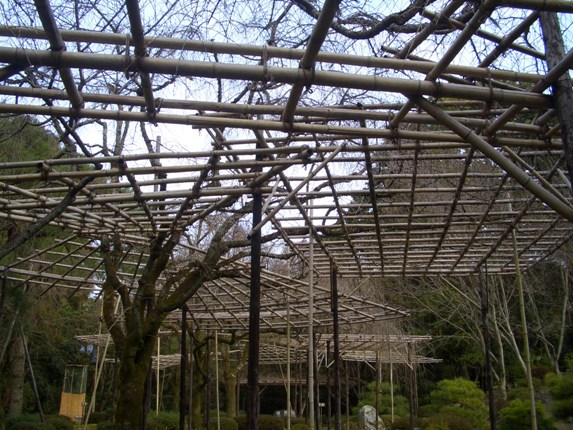 e0033713_11391743.jpg