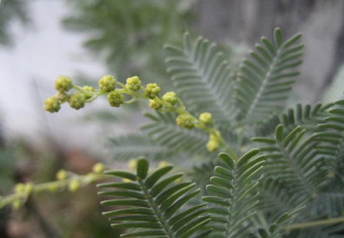 f0139520_16201169.jpg