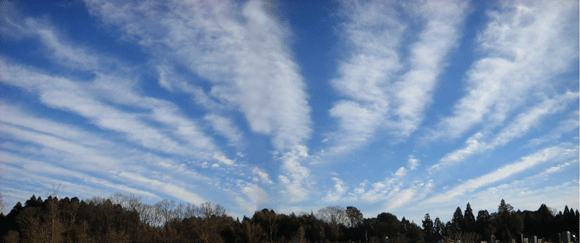 c0146127_16313864.gif