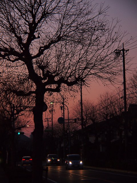 b0134829_1814882.jpg