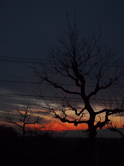 b0134829_1864816.jpg