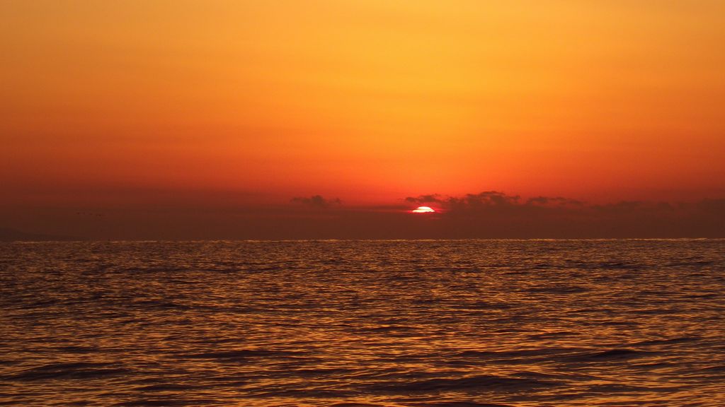 b0173629_13452642.jpg