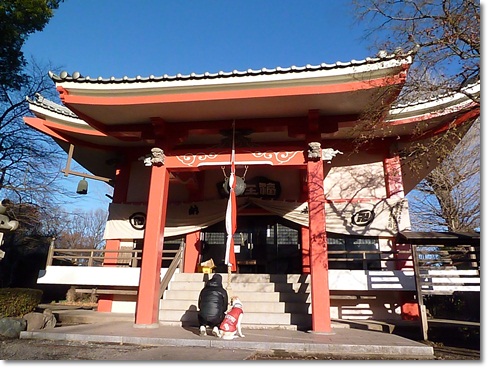 d0140133_931411.jpg