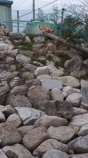 d0165735_2150631.jpg