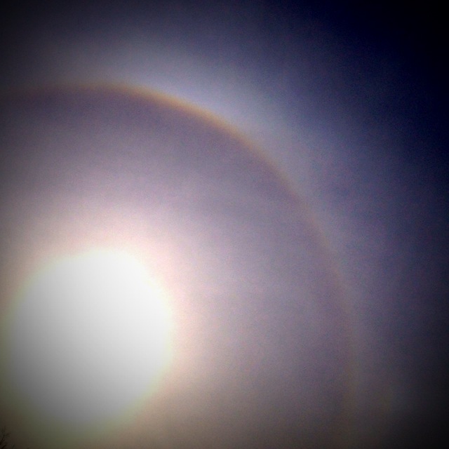a0117440_20292716.jpg