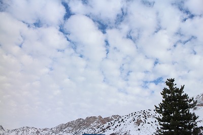 d0195041_20121795.jpg