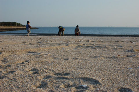 d0164443_122156100.jpg