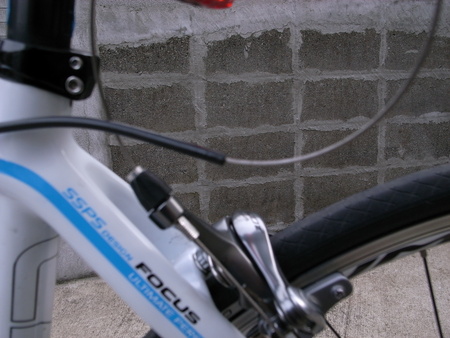 a0292747_23226.jpg