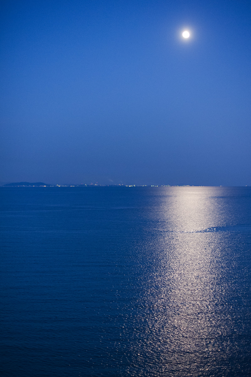 b0023047_5462259.jpg