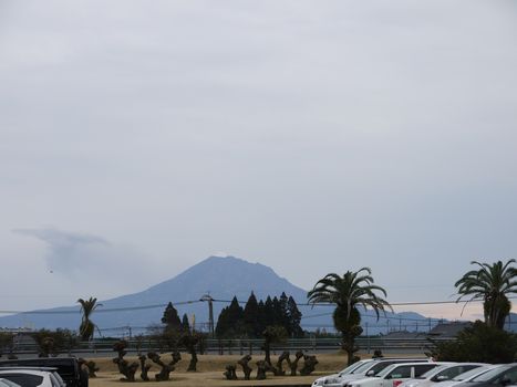 a0148349_7474944.jpg