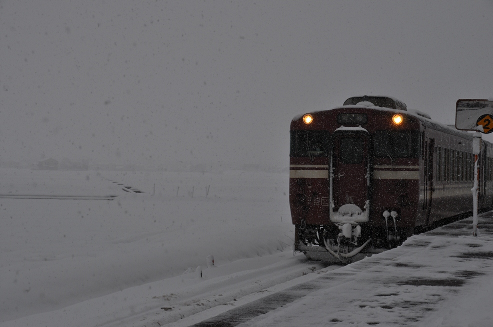 a0022350_11143665.jpg