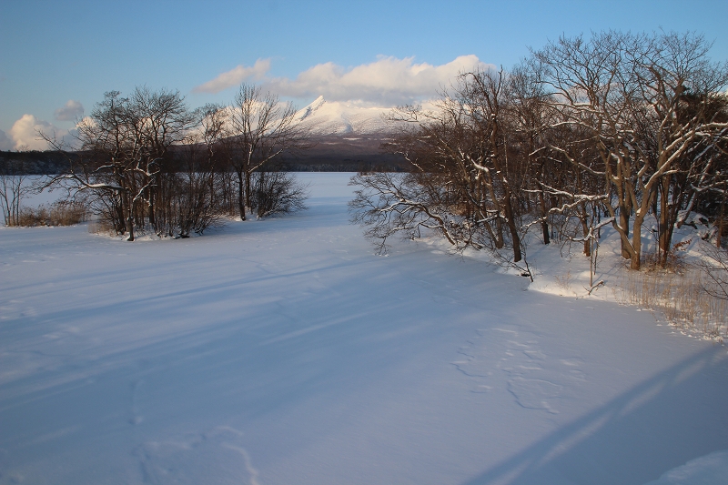 b0250154_10374298.jpg