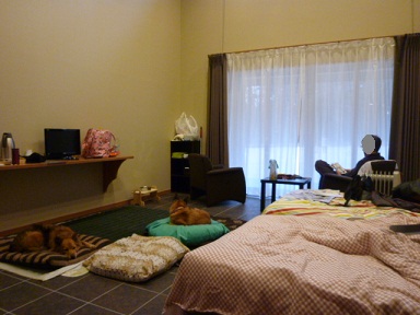 b0203758_12282025.jpg
