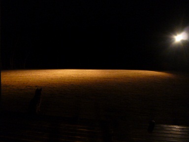 b0203758_12335937.jpg