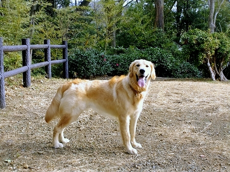 c0097558_1341255.jpg