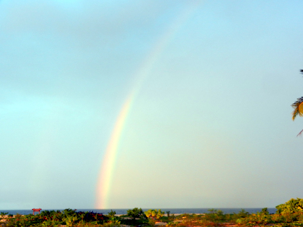 d0137658_226426.jpg