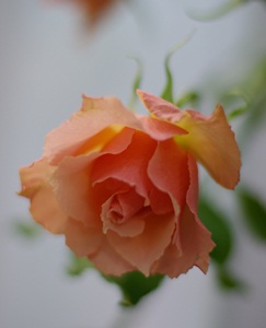 b0157660_19484580.jpg