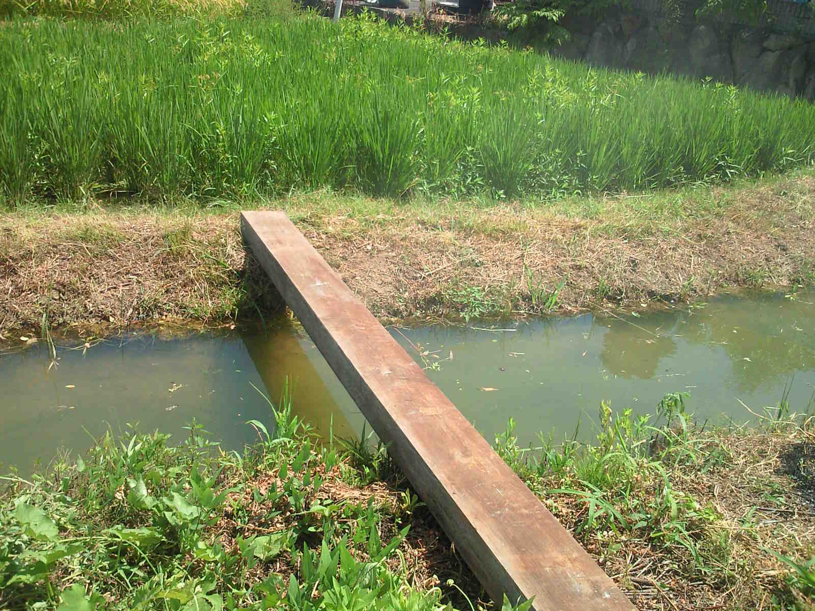 b0139862_1649228.jpg