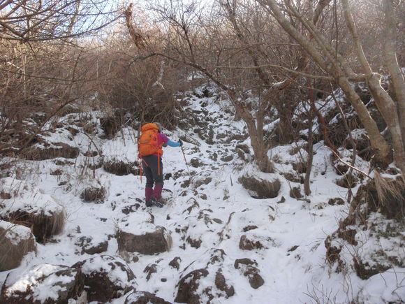 c0042869_21565347.jpg
