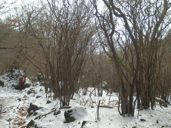 c0042869_21593443.jpg