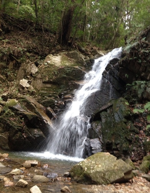 c0225169_3231427.jpg