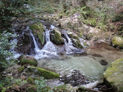 d0182075_8423.jpg