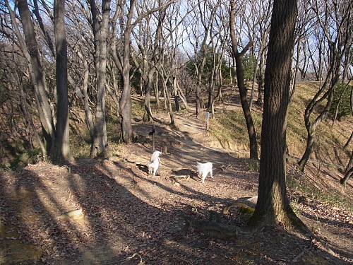 b0136381_22057100.jpg