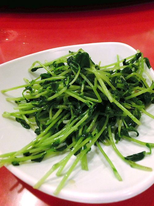 c0001491_029736.jpg