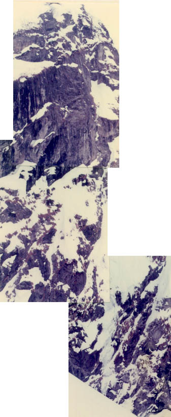 e0304295_059554.jpg