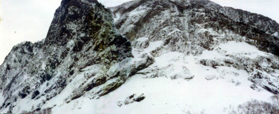 e0304295_295077.jpg