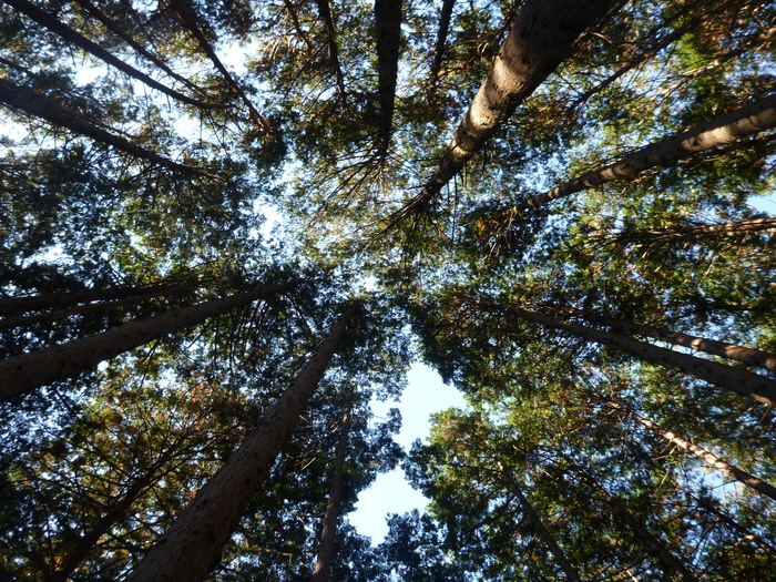 a0243396_20471130.jpg